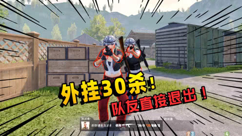 和平精英高端锦鲤内核软件：超强稳定性加持，安卓 /iOS 双端适配